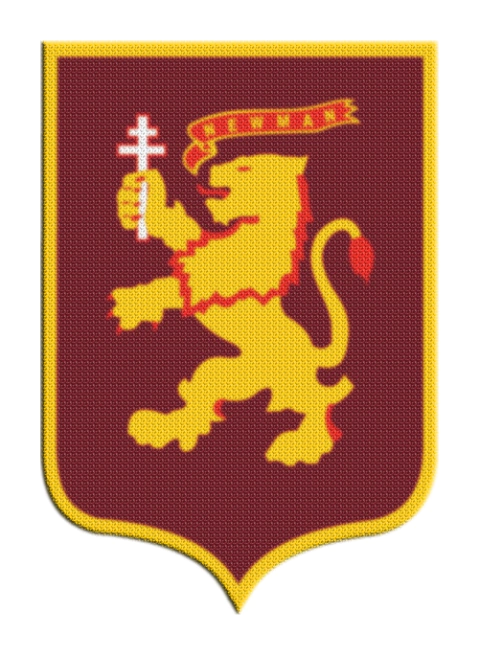 Parche Termoadhesivo 7,5 cm Newman - comprar online