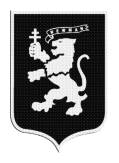 Parche Termoadhesivo 7,5 cm Newman - LM MERCHANDISING