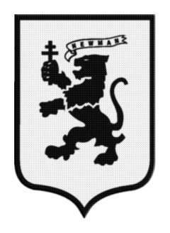 Parche Termoadhesivo 7,5 cm Newman - tienda online