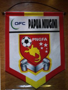 Medium Pennant Selecciones de OFC - buy online