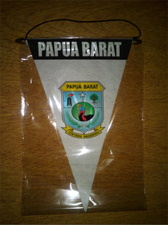 Banderín Triangular Países de Oceanía