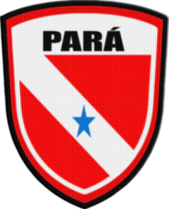 Parche Termoadhesivo 7,5 cm Shield - Estados de Brasil en internet