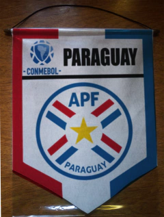 Image of Large Pennant Selecciones de CONMEBOL