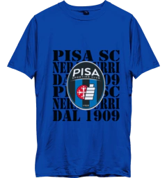 Remera Urbana de Algodon Adulto de Pisa Sc - comprar online