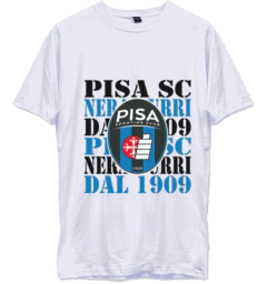 Remera Urbana de Algodon Adulto de Pisa Sc - LM MERCHANDISING