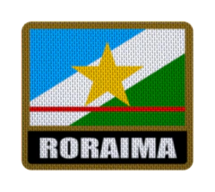 Imagen de Parche Termoadhesivo 7,5 cm Bandera con Nombre - Estados de Brasil