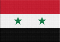 Parche Termoadhesivo 7,5 cm Bandera - Países de Asia - LM MERCHANDISING