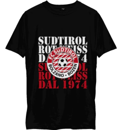 Imagen de Remera Urbana de Algodon Adulto de Sudtirol
