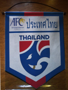 Large Pennant Selecciones de AFC - buy online