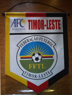 Image of Large Pennant Selecciones de AFC