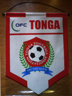 Banderin Grande Selecciones de OFC - tienda online