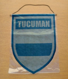 Banderin Grande de Provincias Argentinas en internet