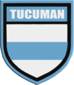 Parche Termoadhesivo 7,5 cm Shield - Provincias Argentinas - comprar online