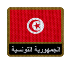 Parche Termoadhesivo 7,5 cm Bandera con Nombre - Países de África - comprar online