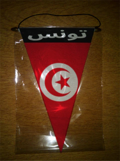 Banderín Triangular Países de África