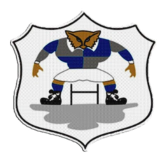 Parche Termoadhesivo 7,5 cm Uru Cure - comprar online