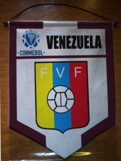 Large Pennant Selecciones de CONMEBOL on internet