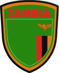 Parche Termoadhesivo 7,5 cm Shield - Países de África en internet