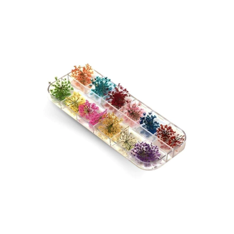 Kit de Flores para Encapsular Unhas