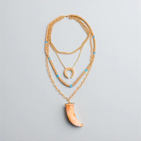 Colar Longo Dente e Ferradura - comprar online