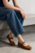 Camelia Camel