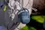 Parlante JBL Clip 4 portátil con bluetooth waterproof