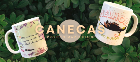 Carrossel 1
