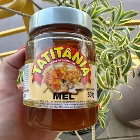 Mel de Abelha Tatitânia 500g
