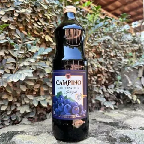 Campino Suco de Uva Tinto Integral