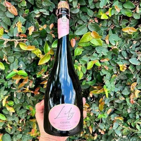 Lily Cuvée Espumante Rosé Brut Edição Limitada Casa Geraldo