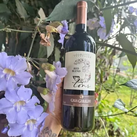 3 Tons Casa Geraldo Vinho Fino Tinto Seco