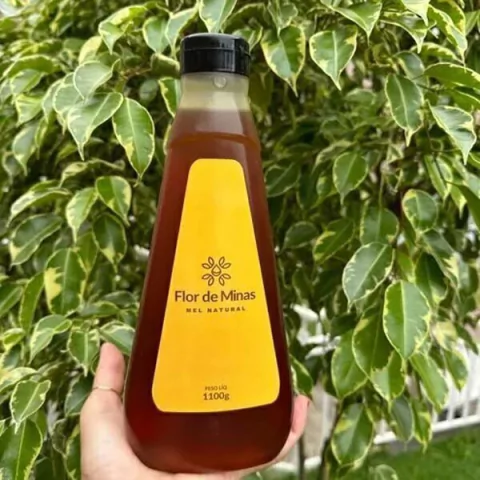 mel natural flor de minas bisnaga 1100g