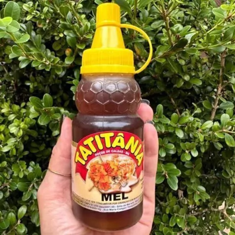 Mel de Abelha Tatitânia Bisnaga 270g