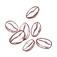 Categoria 2