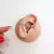 Piercing para CONCH em Prata 925 cravejado de microzirconias coloridas e haste com material cirúrgico.