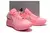Nike Lebron XX - Rosa en internet