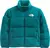 Sherpa Nuptse Jacket The North Face - Green - comprar online