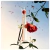 Kenzo Flower Fem 100ml na internet