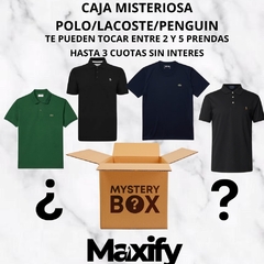 MISTERY BOX - HASTA 5 PRENDAS DE POLO/LACOSTE/PENGUIN - comprar online