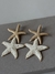 CONJUNTO ESTRELA DO MAR OFF WHITE - loja online