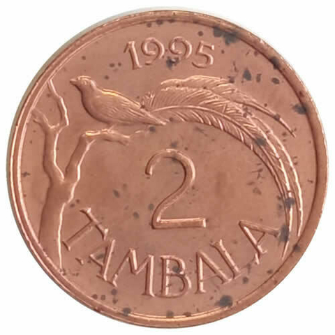 2 Tambala - Malawi - 1995 - comprar online