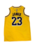 Regata Los Angeles Lakers - comprar online