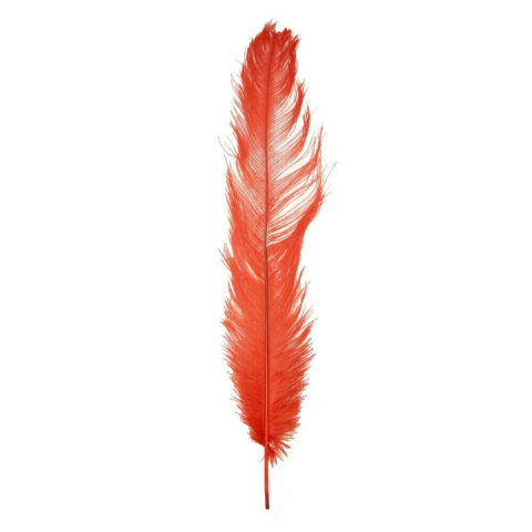 Pluma estimuladora corporal