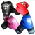 Luva de Boxe Infantil Tanoshi