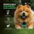 Kit 2 Suplementos Vitamínico para Cães Pelos & Pele - Vygrox
