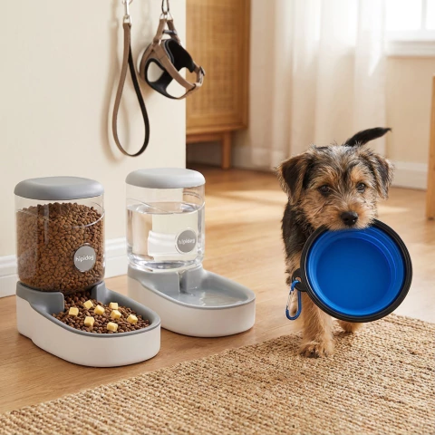 Pack Perro - comprar online