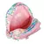 Mochila Rosa Art Is Revolution Chimola Pandas 18 Pulgadas - tienda online