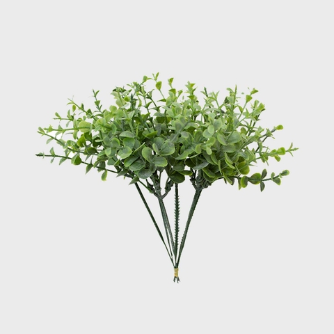 Plantas permanentes