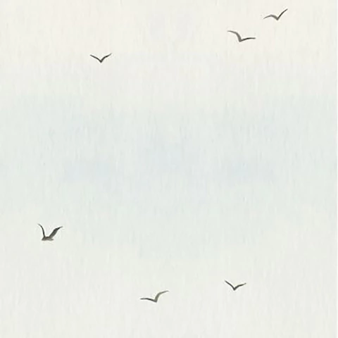 Papel de parede céu com gaivotas - comprar online