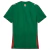 Camisa Puma Palmeiras I 2026 Torcedora Feminino - Procopio